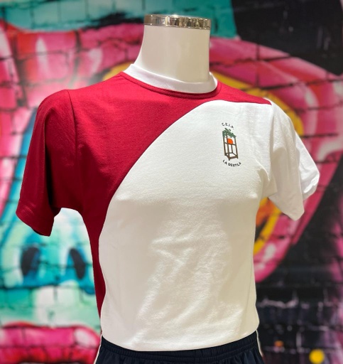 CAMISETA APLIQUES DESTILA