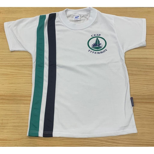 CAMISETA APLIQUES TITERROY