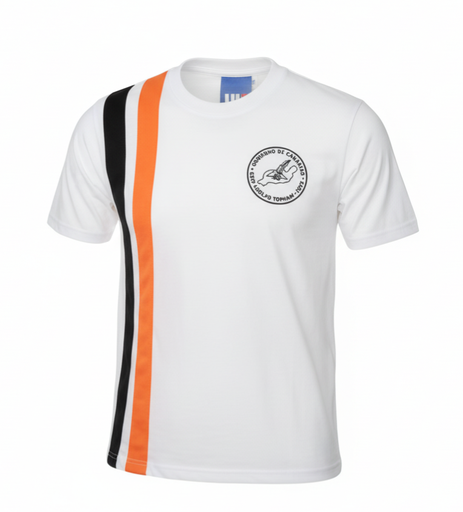 CAMISETA TOPHAM APLIQUES UNIFORMAS